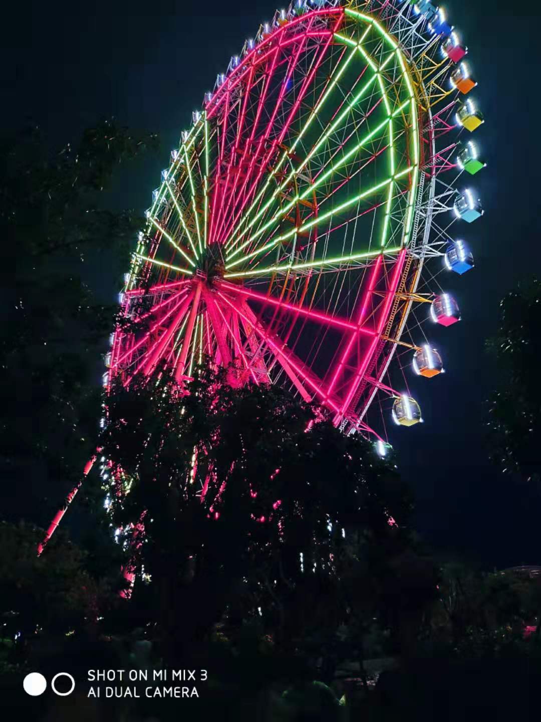 芽庄团建